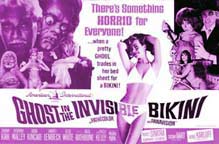 Ghost in the Invisible Bikini