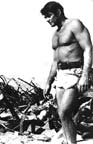 Stuart Whitman