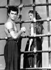 Piper Laurie and Tony Curtis