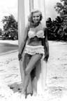 Shelley Fabares