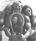 Dave Draper