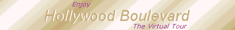 Hollywood Boulevard Banner