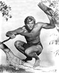 Denny Miller